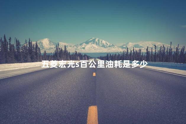 五菱宏光s百公里油耗是多少