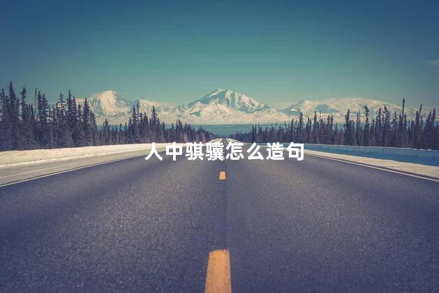 人中骐骥怎么造句