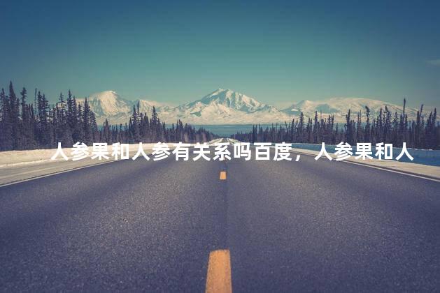 人参果和人参有关系吗百度，人参果和人参有关系吗百度百科