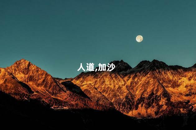 人道,加沙