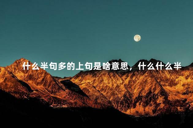 什么半句多的上句是啥意思，什么什么半句多