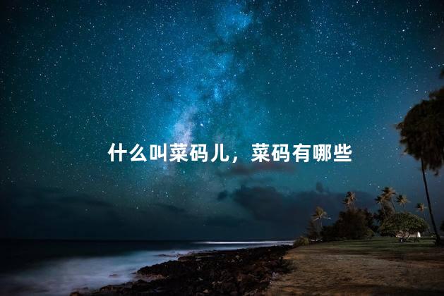 什么叫菜码儿，菜码有哪些