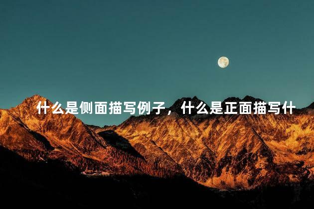 什么是侧面描写例子，什么是正面描写什么是侧面描写