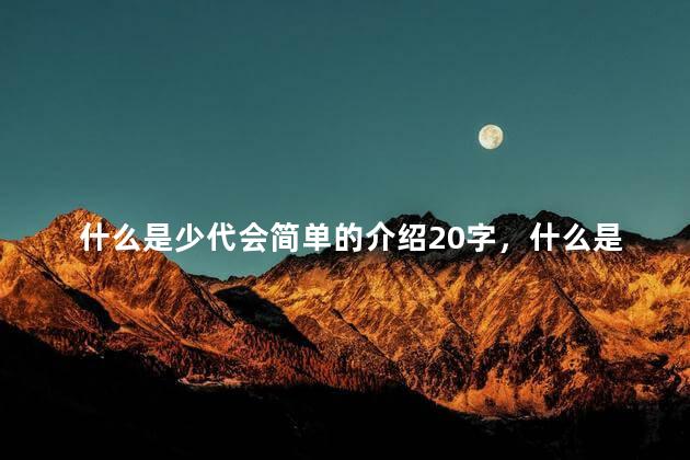 什么是少代会简单的介绍20字，什么是少代会？