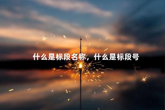 什么是标段名称，什么是标段号