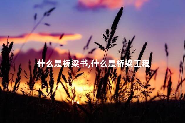 什么是桥梁书,什么是桥梁工程 什么是桥梁书,什么是桥梁工程