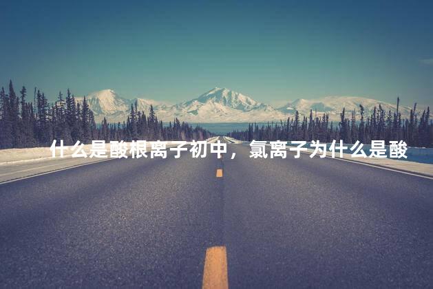 什么是酸根离子初中，氯离子为什么是酸根离子