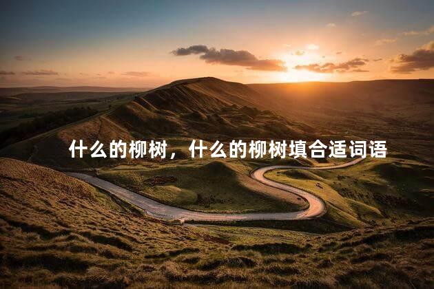 什么的柳树，什么的柳树填合适词语