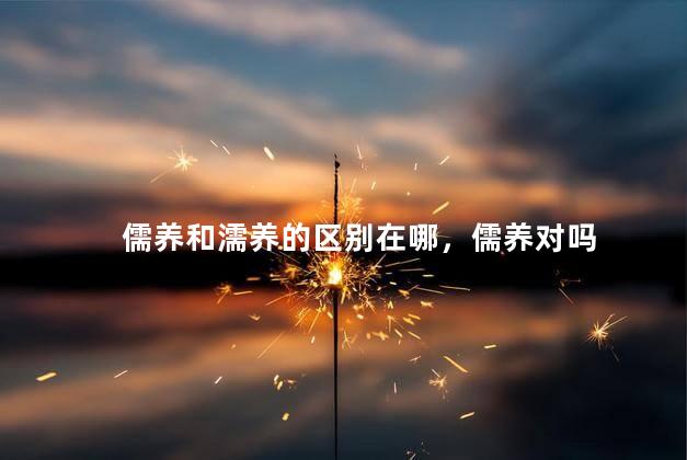儒养和濡养的区别在哪，儒养对吗