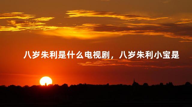 八岁朱利是什么电视剧，八岁朱利小宝是什么电视剧