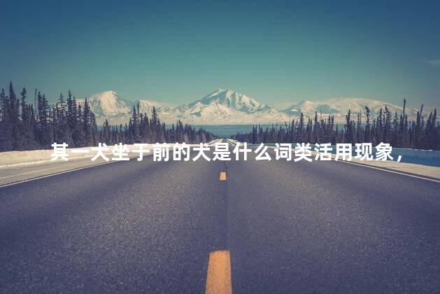 其一犬坐于前的犬是什么词类活用现象，其一犬坐于前的犬的词类活用