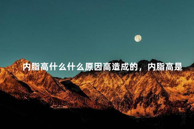 内脂高什么什么原因高造成的，内脂高是什么原因造成的
