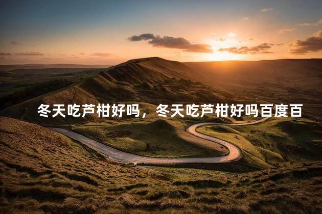 冬天吃芦柑好吗，冬天吃芦柑好吗百度百科