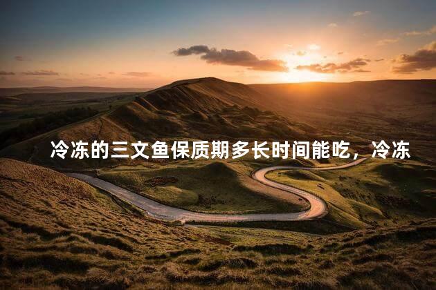冷冻的三文鱼保质期多长时间能吃，冷冻的三文鱼保质期多长时间能吃了
