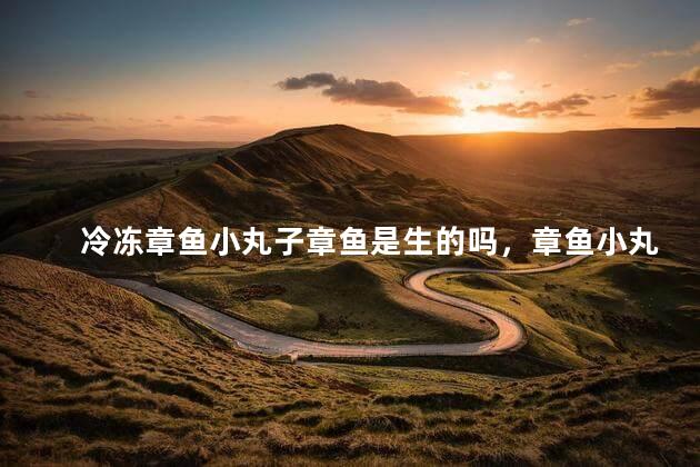 冷冻章鱼小丸子章鱼是生的吗，章鱼小丸子中的章鱼是生的吗