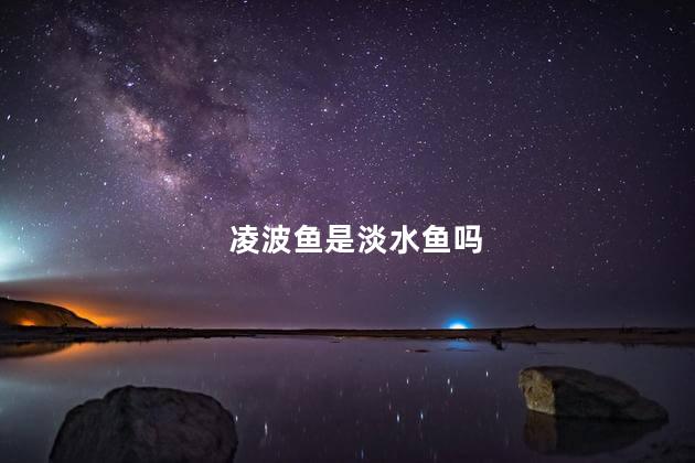 凌波鱼是淡水鱼吗