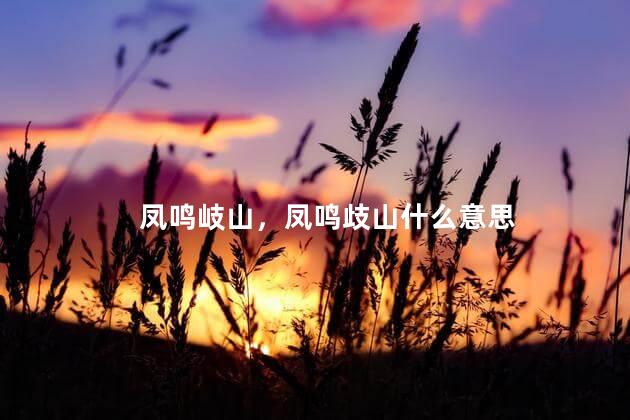 凤鸣岐山，凤鸣歧山什么意思