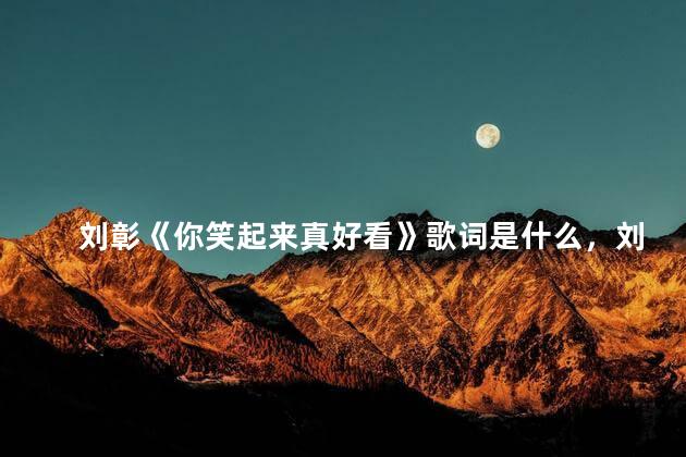 刘彰《你笑起来真好看》歌词是什么，刘彰《你笑起来真好看》歌词是什么意思