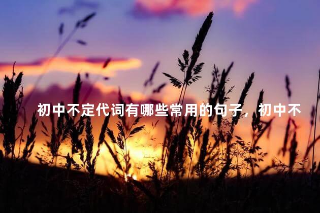 初中不定代词有哪些常用的句子，初中不定代词有哪些常用的词