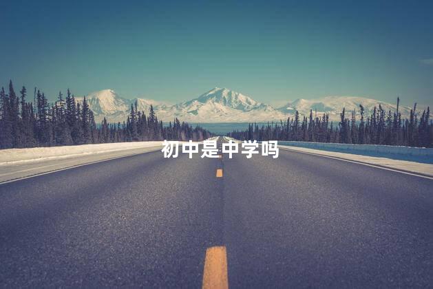 初中是中学吗