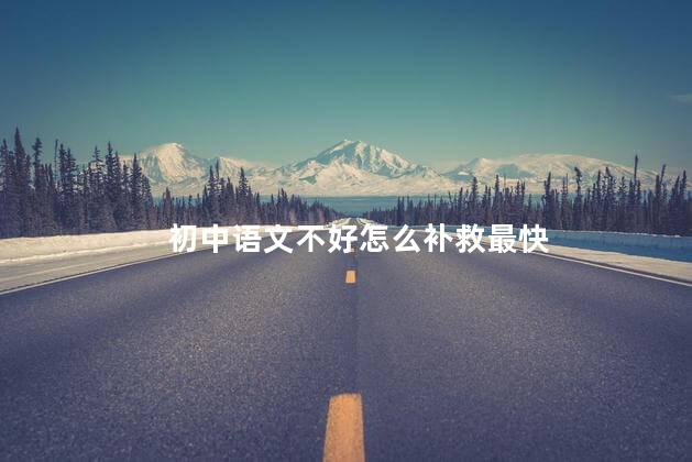 初中语文不好怎么补救最快