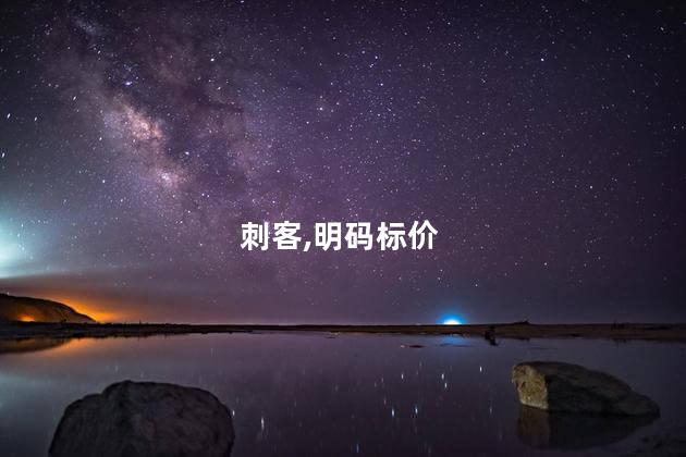 刺客,明码标价