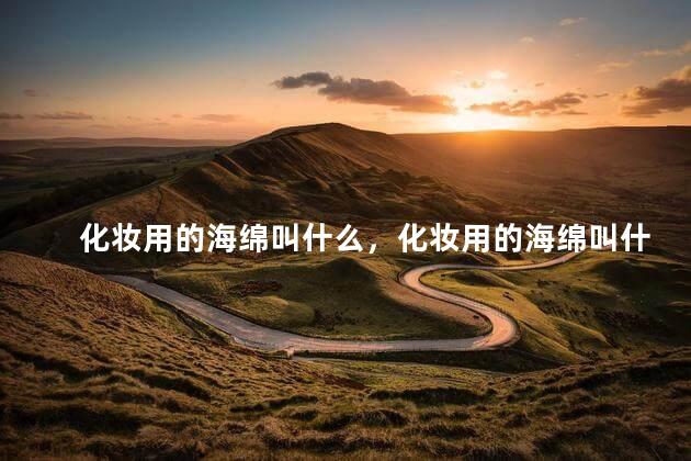 化妆用的海绵叫什么，化妆用的海绵叫什么名字