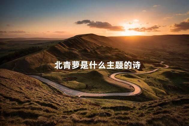 北青萝是什么主题的诗