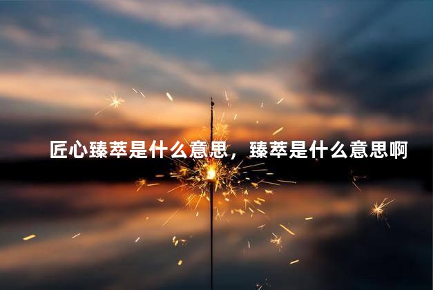 匠心臻萃是什么意思，臻萃是什么意思啊