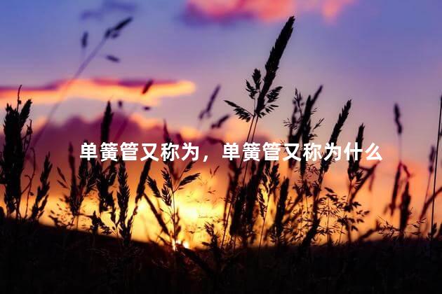 单簧管又称为，单簧管又称为什么