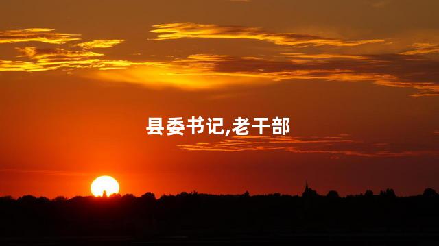 县委书记,老干部
