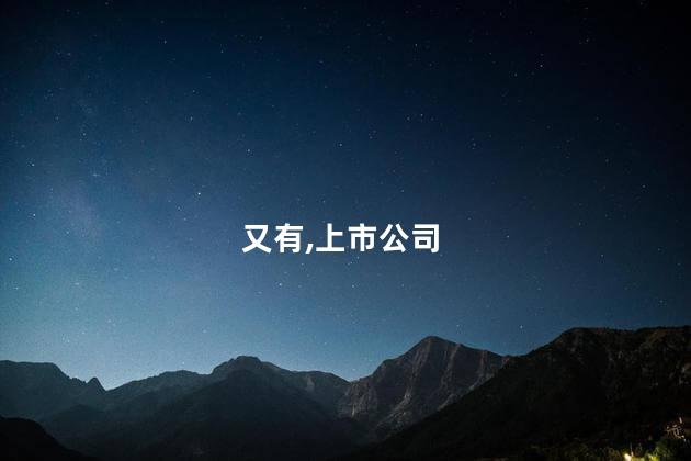 又有,上市公司