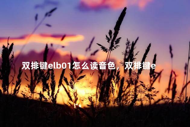 双排键elb01怎么读音色，双排键elb02