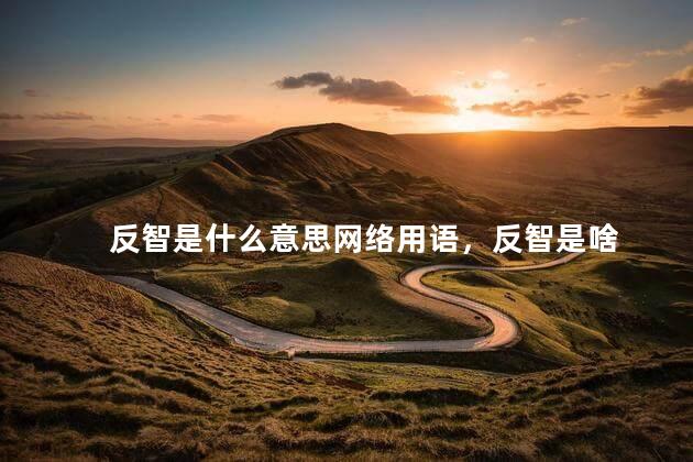 反智是什么意思网络用语，反智是啥