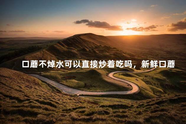 口蘑不焯水可以直接炒着吃吗，新鲜口蘑需不需要焯水