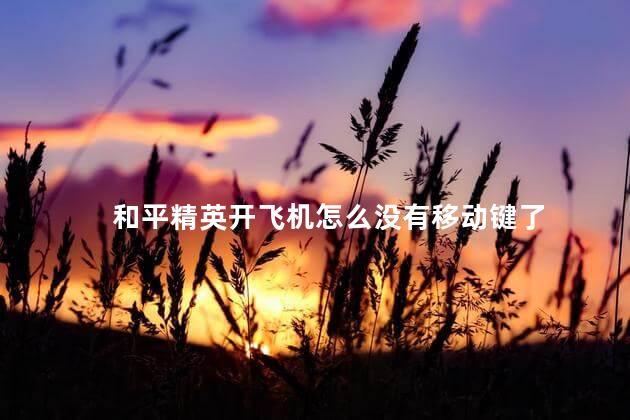 和平精英开飞机怎么没有移动键了