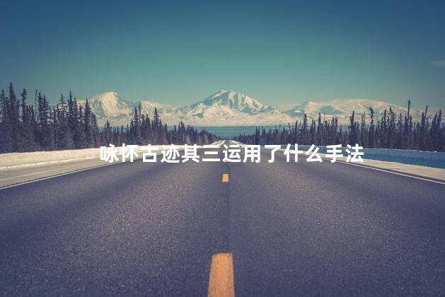 咏怀古迹其三运用了什么手法