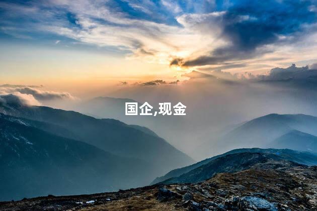 国企,现金