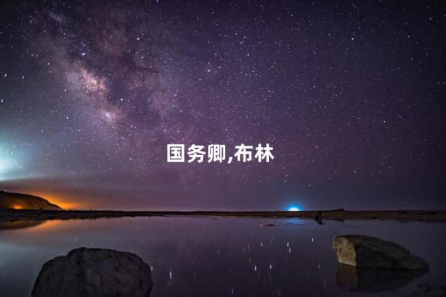 国务卿,布林