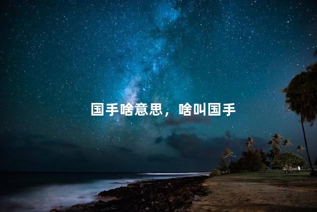 国手啥意思，啥叫国手