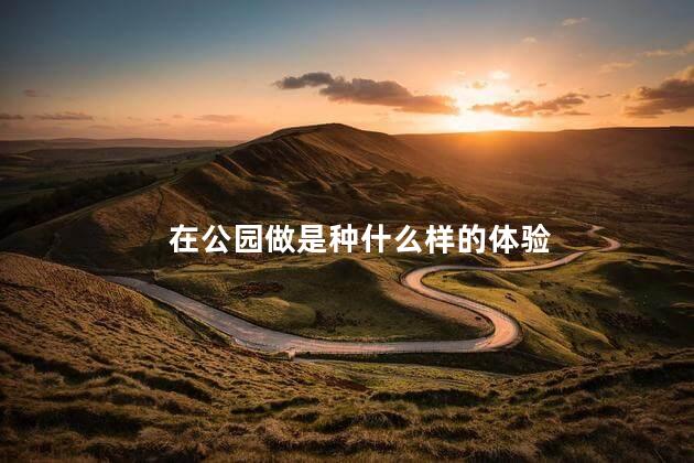 在公园做是种什么样的体验