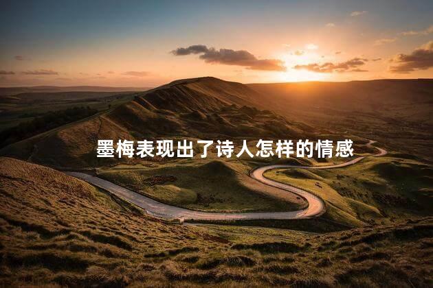 墨梅表现出了诗人怎样的情感