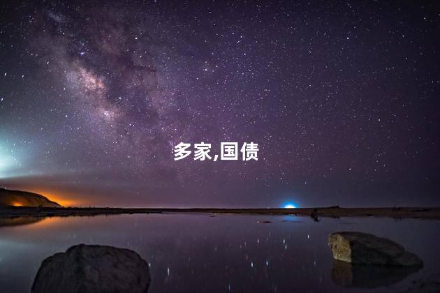 多家,国债
