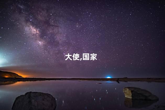 大使,国家