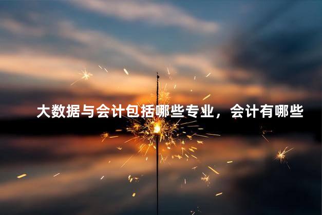大数据与会计包括哪些专业，会计有哪些专业