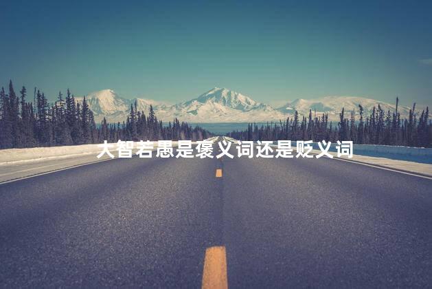 大智若愚是褒义词还是贬义词