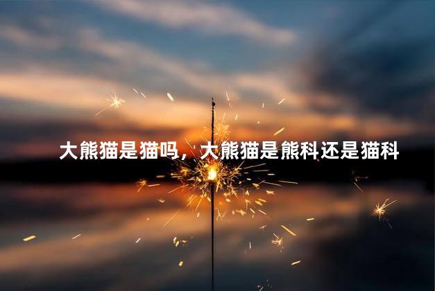 大熊猫是猫吗，大熊猫是熊科还是猫科