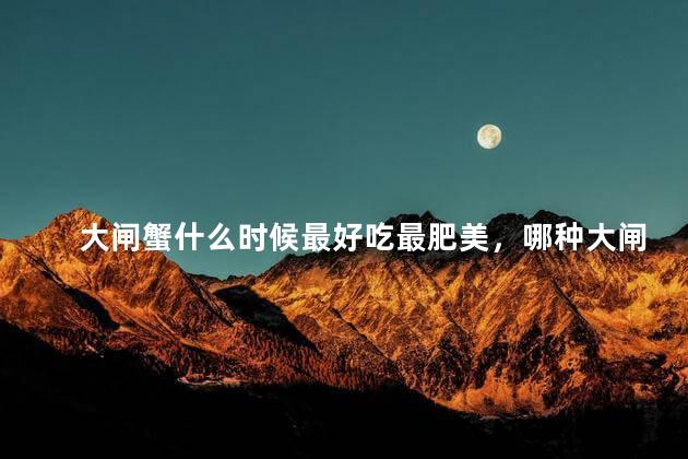 大闸蟹什么时候最好吃最肥美，哪种大闸蟹最好吃