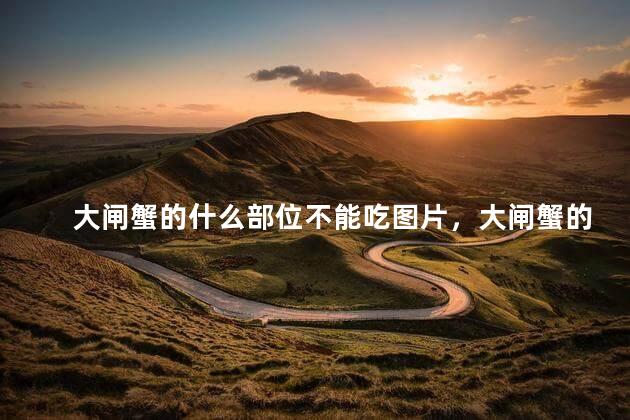 大闸蟹的什么部位不能吃图片，大闸蟹的什么部位不能吃大全