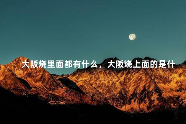 大阪烧里面都有什么，大阪烧上面的是什么